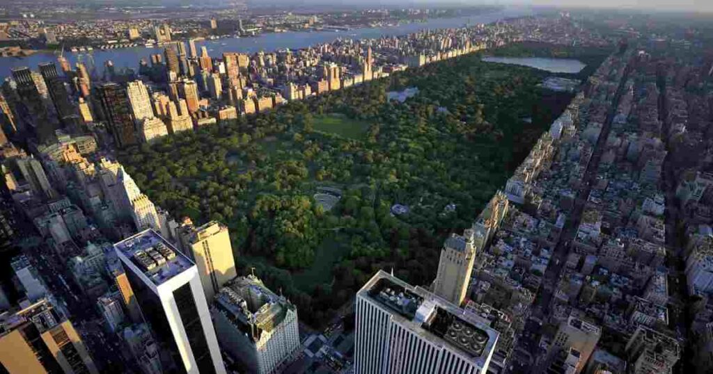 Central Park’s Sheep Meadow (NYC)