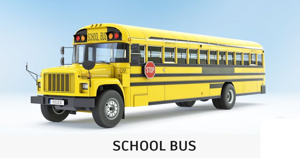 Standard School Bus